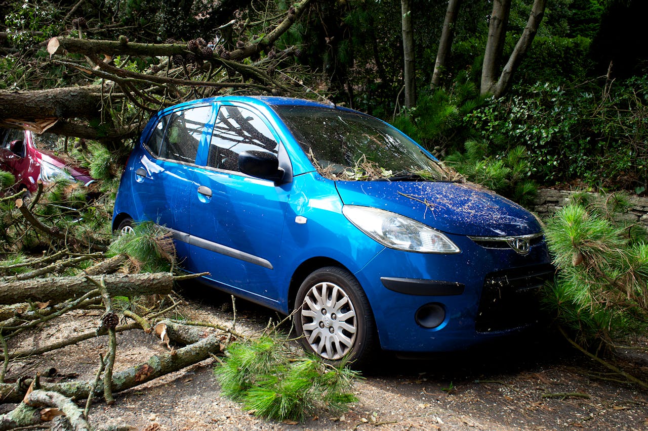 Signs Your Car Needs Professional Panel Repair After a Minor Accident